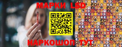 spice Кулебаки