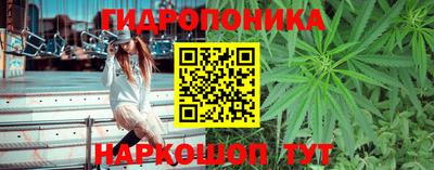 спайс Кунгур