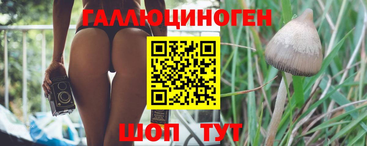 Каменка  Галлюциногенные грибы мицелий  Галлюциногенные грибы ЛСД  Вход с VPN 