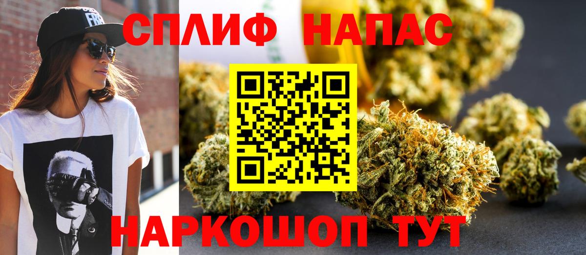 Шишки марихуана конопля Каменка